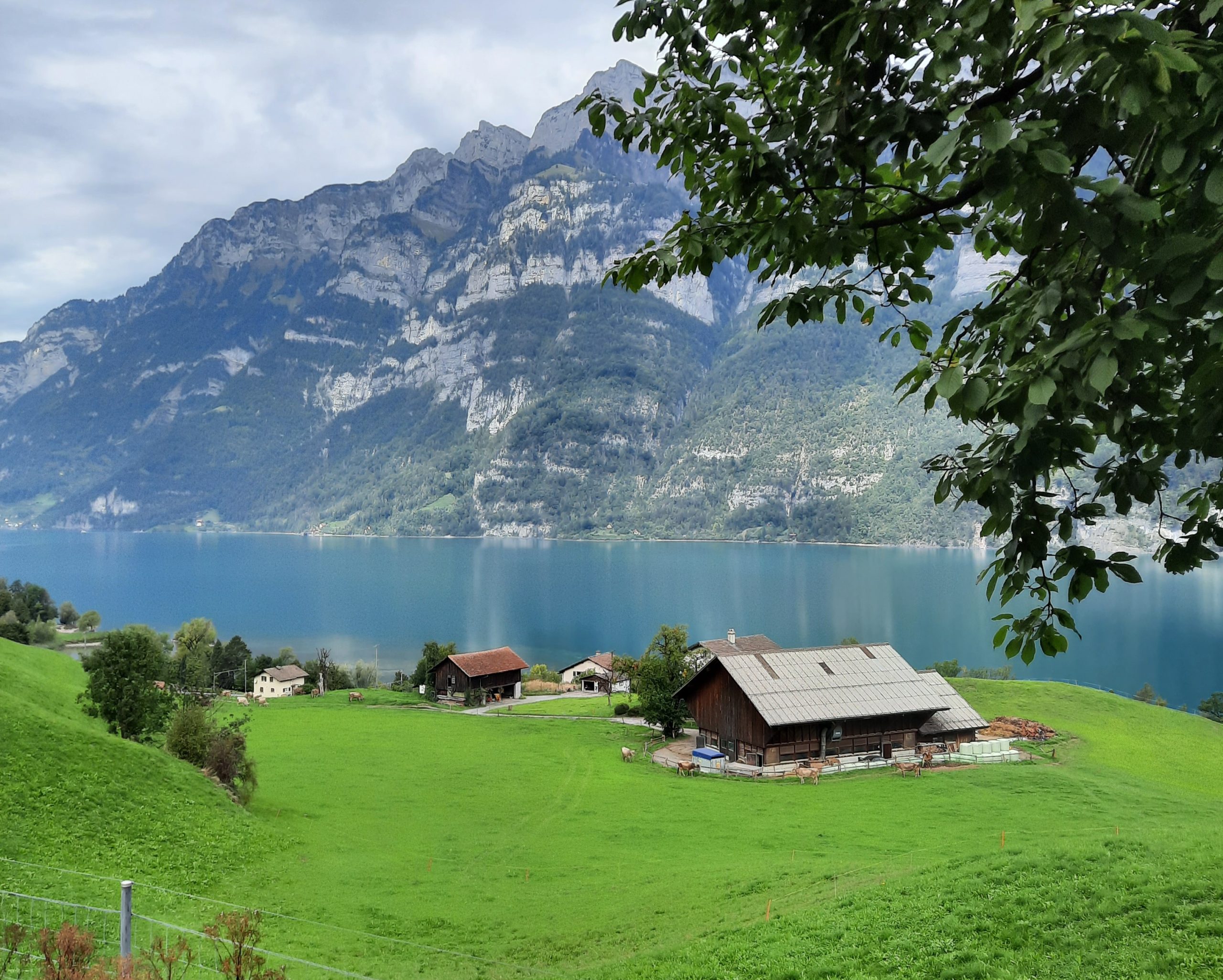 Ausztria-Liechtenstein-Svájc - szeptember (5 nap) Irányár: 420 Eur/fő